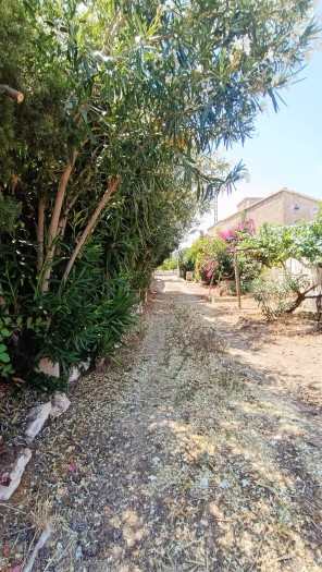 Jardín
